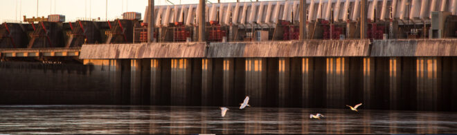 daobtuvoelobtuvocertificadoambientalanual-header