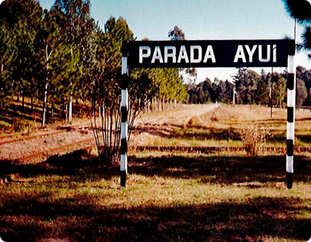 Evento 2001